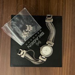 Skagen Denmark Ladies Watch