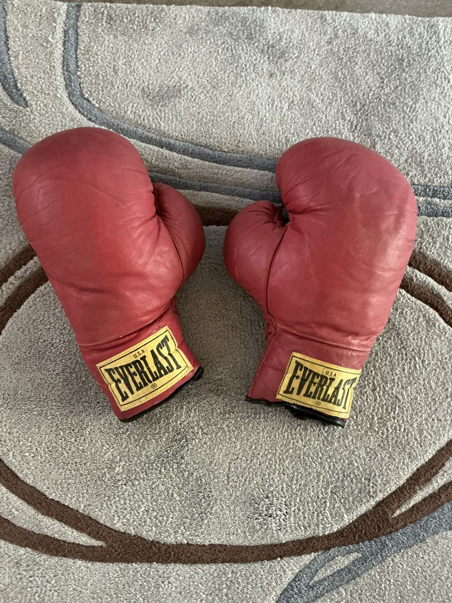 Everlast Boxing Gloves 16 Oz