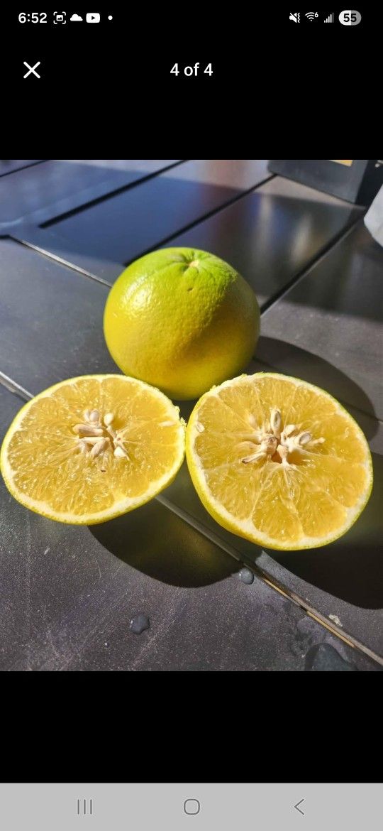 Organic Pomelos/grapefruit 