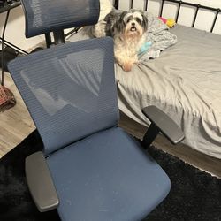 Desk Chair