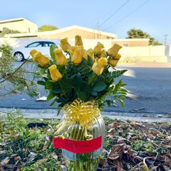 FREE SUCCULENTS And Flowers For Neighbors And Friends! 3552 Angwin Drive 92123