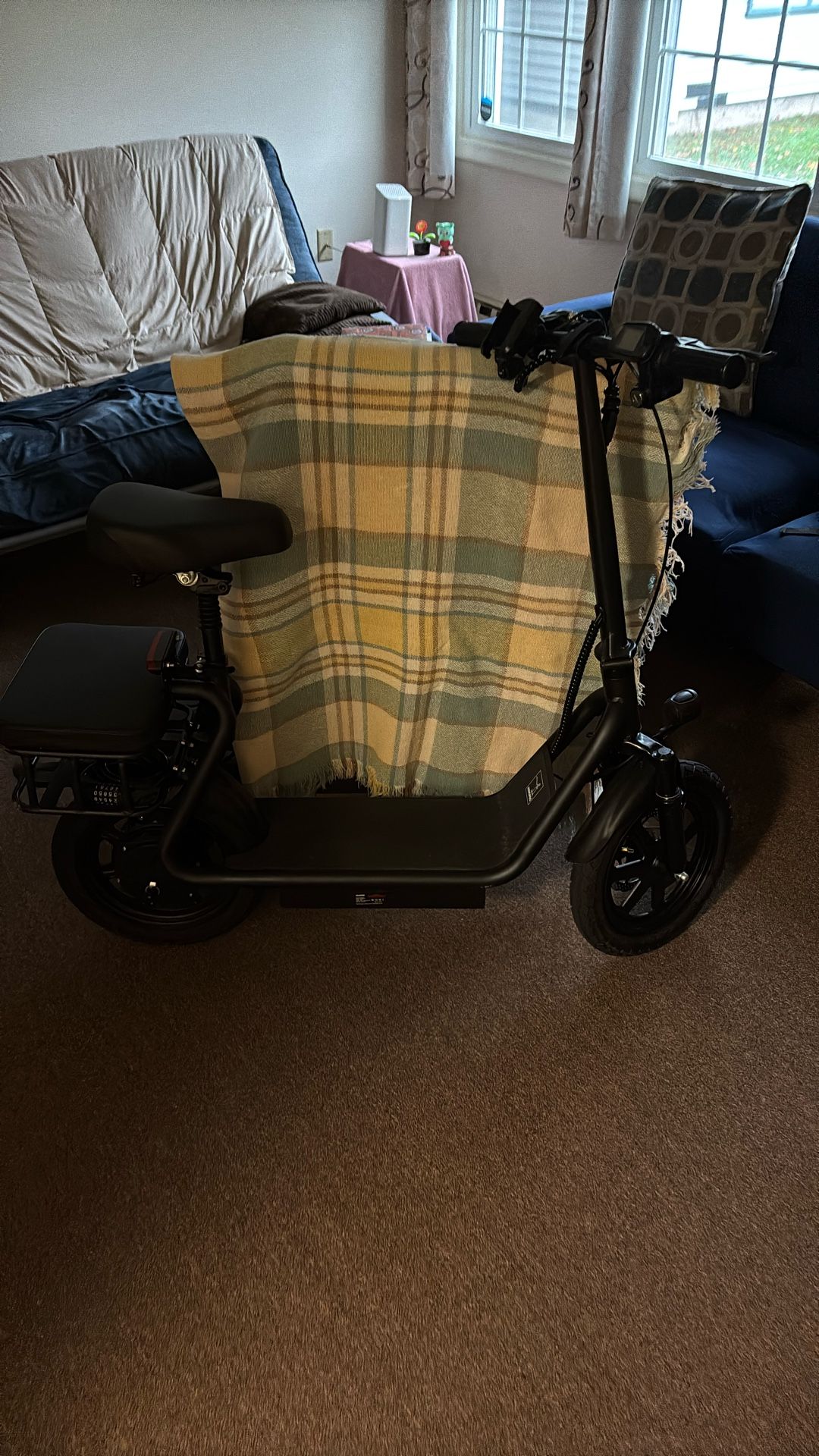 Electric Scooter