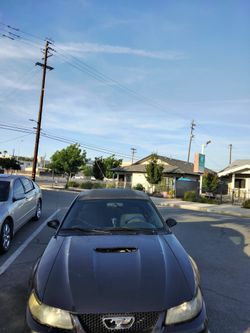 2001 Ford Mustang