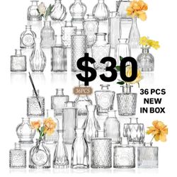 36 New In Box Glass Bud Vases Clear
