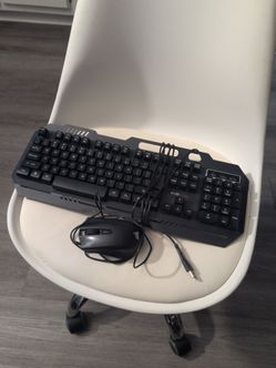 Mouse and keyboard