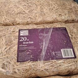 Halloween decorations