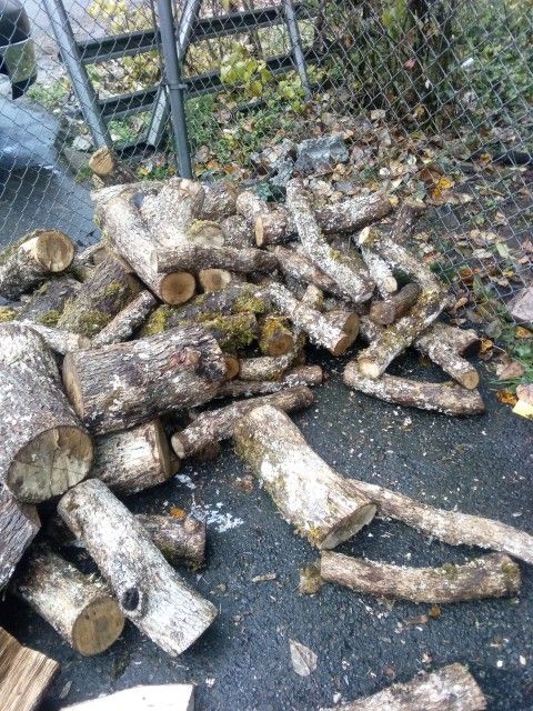 Dry Oak Firewood,Cut 4 Years Ago. 1/4 Cord