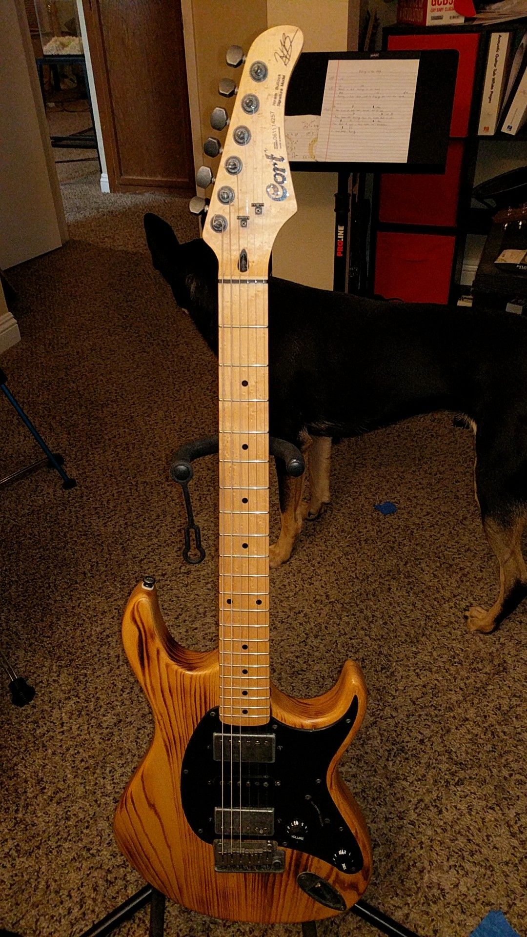 Cort Hiram Bullock HBSII Guitar