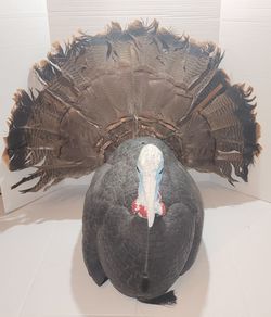 Primos B Mobile Strutter Turkey Decoy Hunting