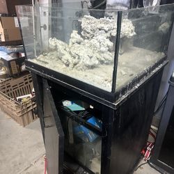 🪸🐠75 Gallon Reef Tank 