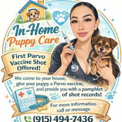 Puppy In Home Care 
