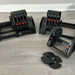 Rep QuickDraw Adjustable Dumbbells 50lbs + Microgainz Fractional Plates 1.25lbs (4)