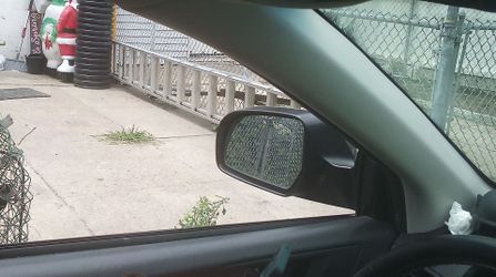 40 foot ladder