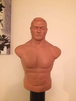 Century bob punching bag