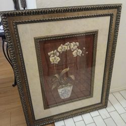 Framed Art 