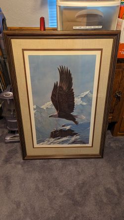 Flying Eagle Beautiful Picture With Frame
