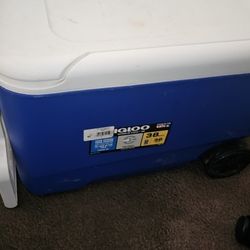Igloo Wheelie Cool 38