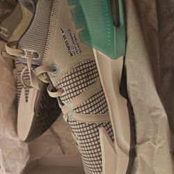 LeBron Witness VII Men's Size 12 