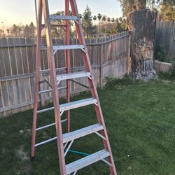 Escalera 12 Pies 