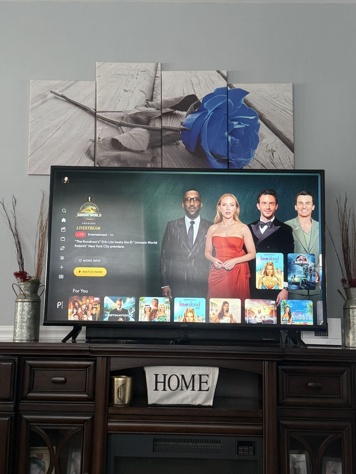 50 Inch Vizio Smart TV