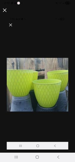Houseplant Pots