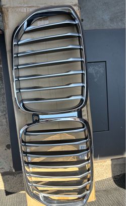 BMW X5 Grill