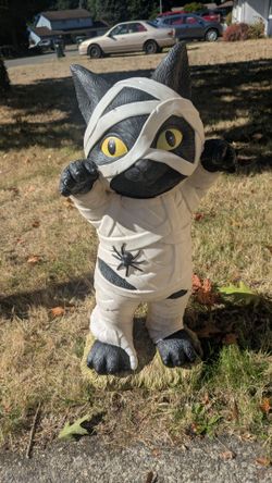 Halloween mummy cat