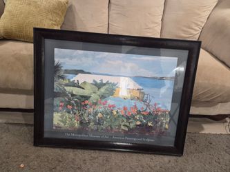 Metropolitan Museum of Art Framed Art Poster