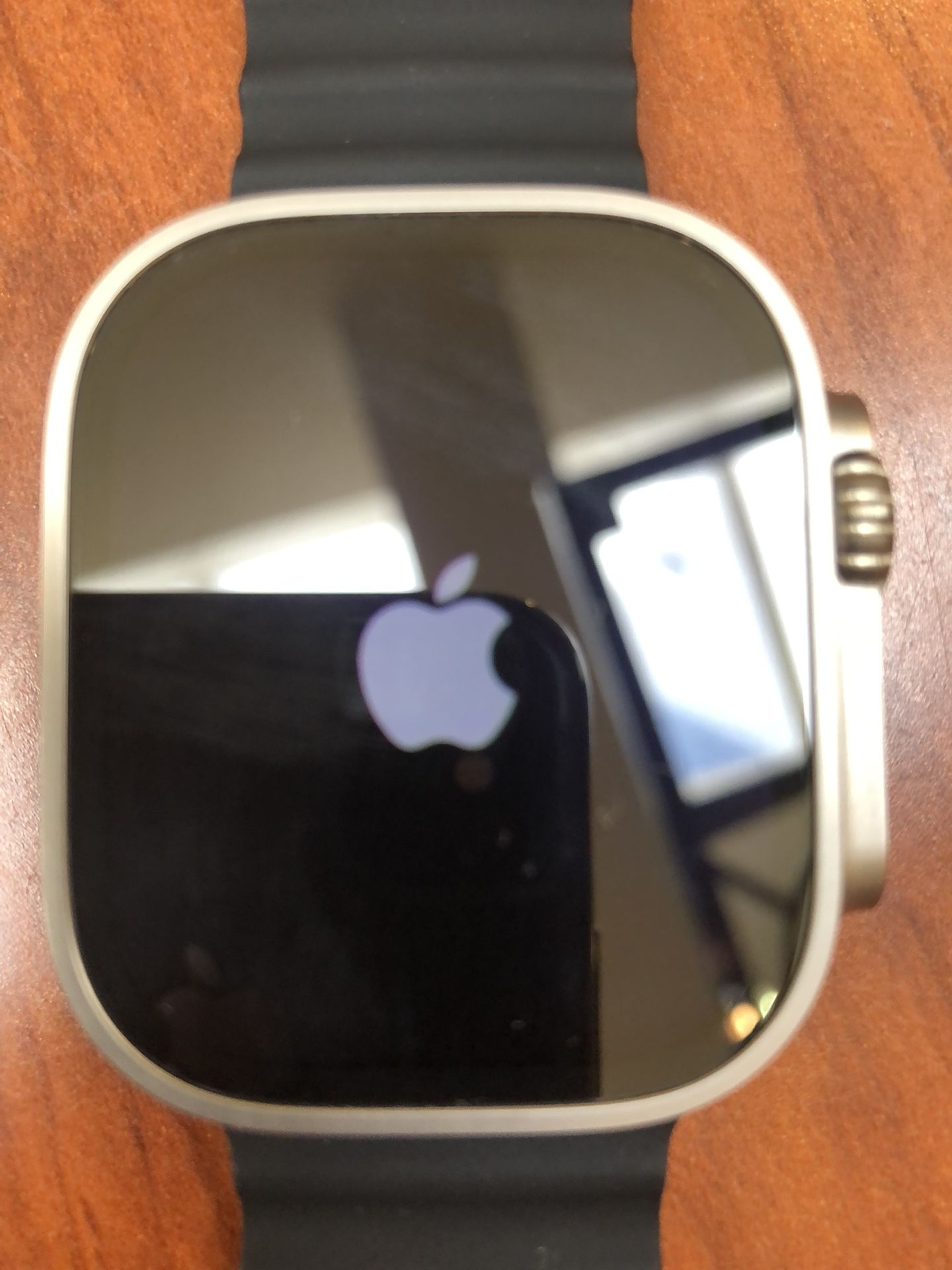 Apple Watch Ultra 2 - 49 mm Titanium Unlocked