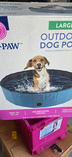 Dog Pool