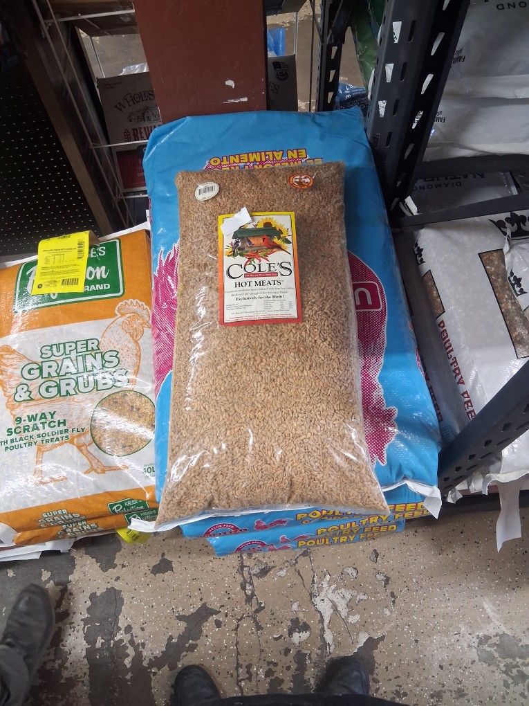 Coles Hot Sunflower Seeds