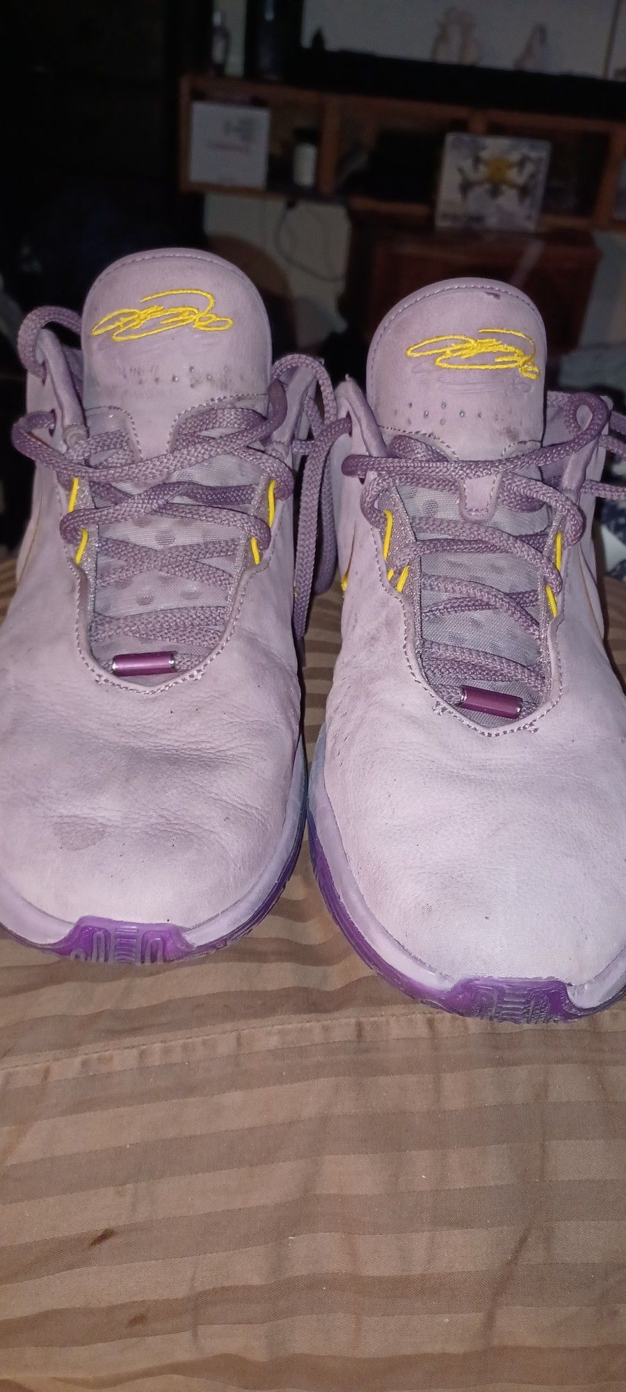 Nike LeBron Jamesxxl21 Size 11