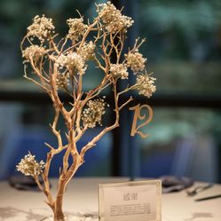 Wedding Branches Center Pieces