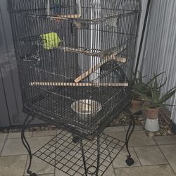 Jaula Negra Para Aves En Buenas Condiciones