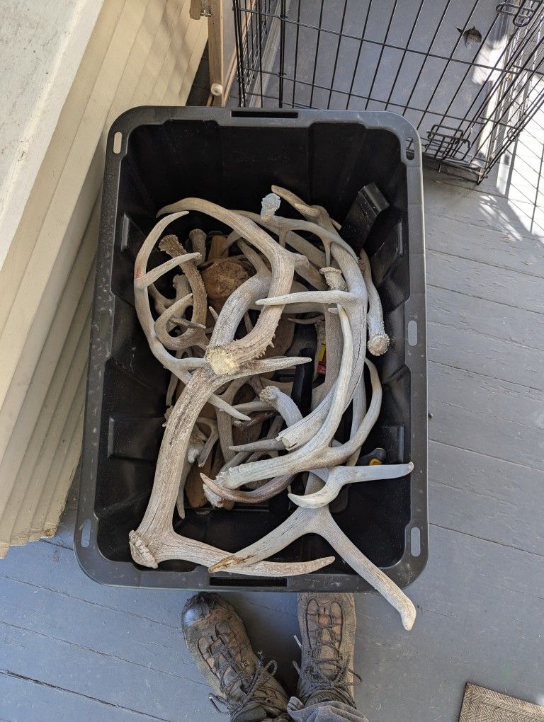 Deer And Elk Sheds
