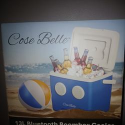 Cooler With Built In Speaker's Bluetooth $30