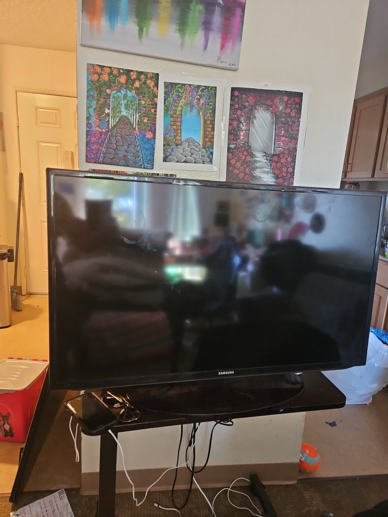 40+inch Samsung TV