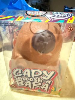 Capy Bara squishy
