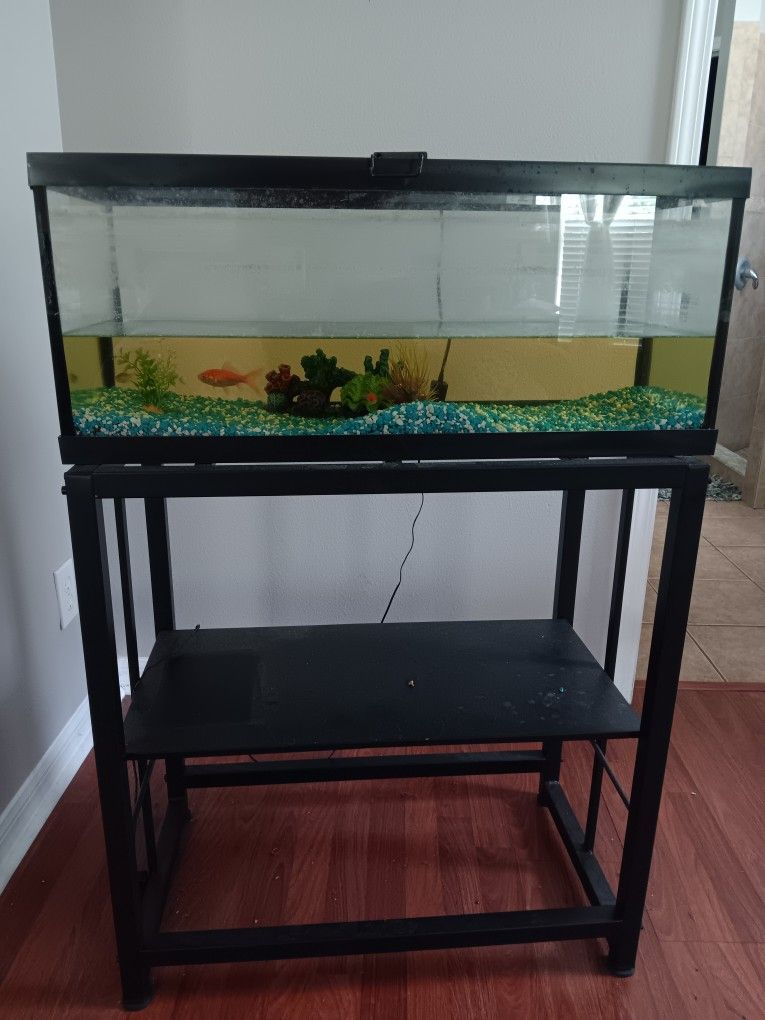 20 GALLON Fish Tank And Stand