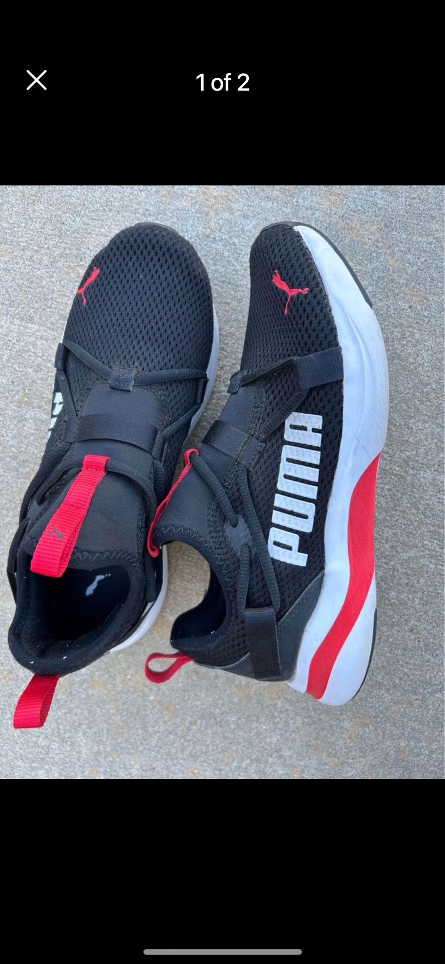 Ladies Pumas