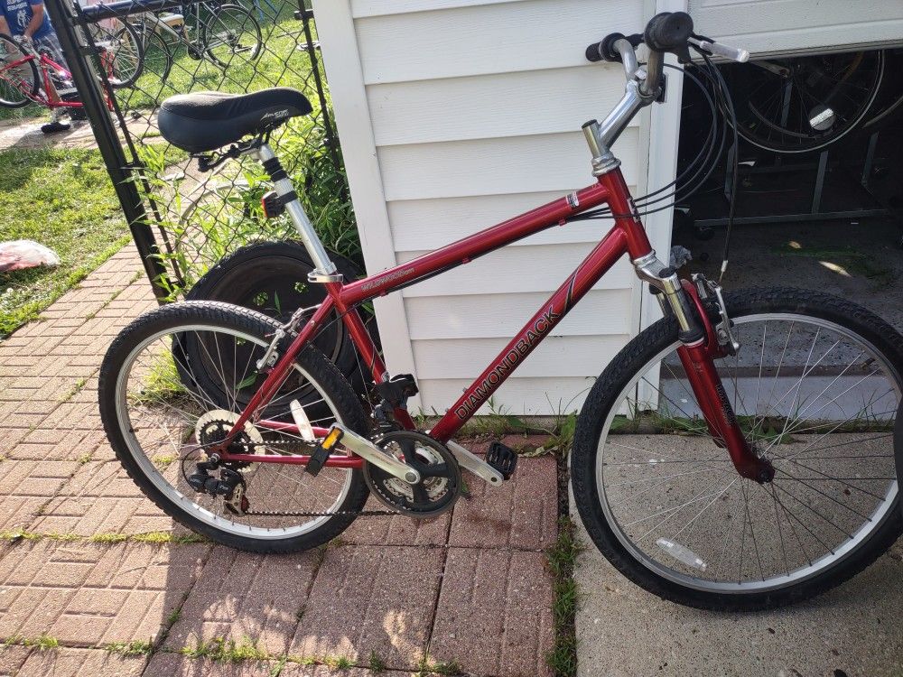 Diamondback Wildwood Citi 17.5 Inch Bike