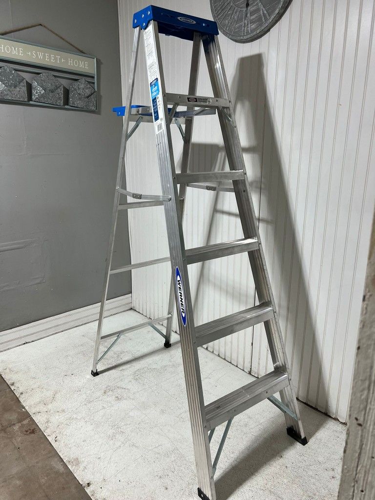 Ladder 6 Foot