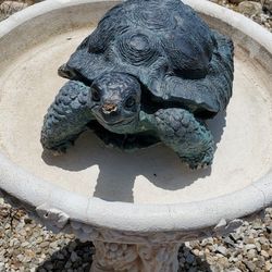 Turtle Garden Statue 