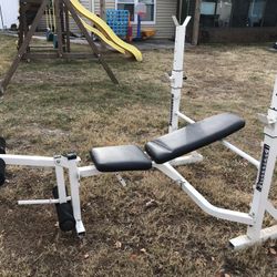 Weight Bench 