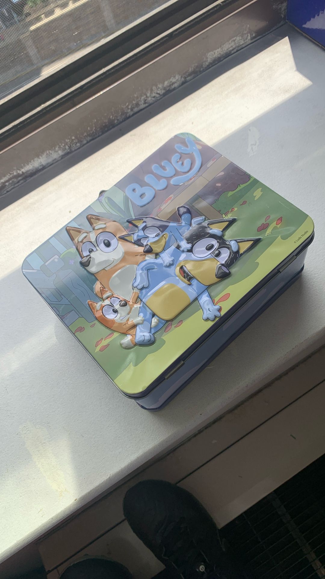 Bluey Lunch Box With Puzzles