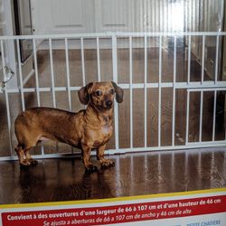 Tuffy Pet Gate