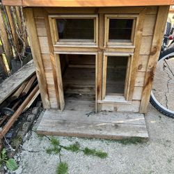 Dog House 