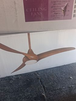 Celling fan with light
