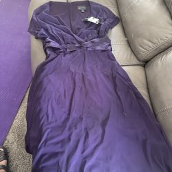 Plus Dress Size 16
