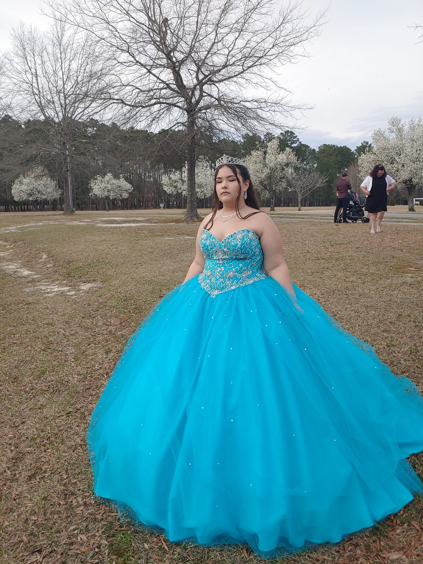 Quinceanera Dresses